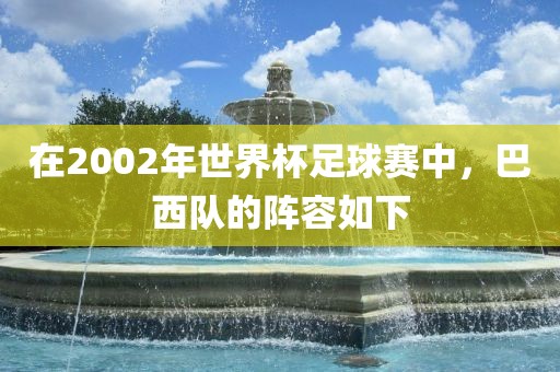 在2002年世界杯足球赛中，巴西队的阵容如下眉山市正发家政服务有限公司