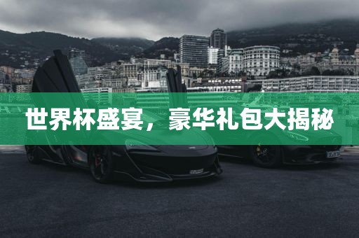 眉山市正发家政服务有限公司世界杯盛宴，豪华礼包大揭秘