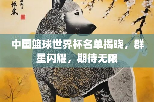 中国篮球世界杯名单揭晓，群星闪耀，期待无限眉山市正发家政服务有限公司