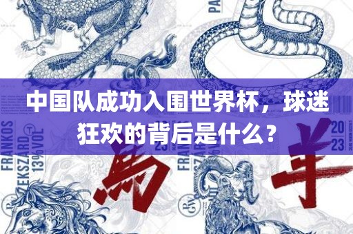 中国队成功入围世界杯，球迷狂欢的背后是什么？眉山市正发家政服务有限公司