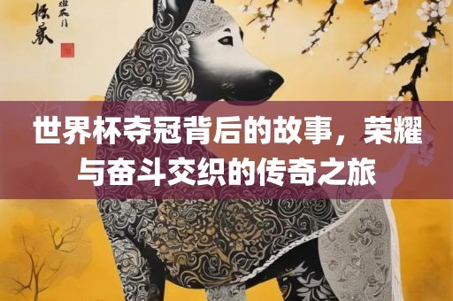 世界杯夺冠背后的故事，荣耀与奋斗交织的传奇之旅