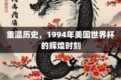 重温历史，1994年美国世界杯的辉煌时刻眉山市正发家政服务有限公司