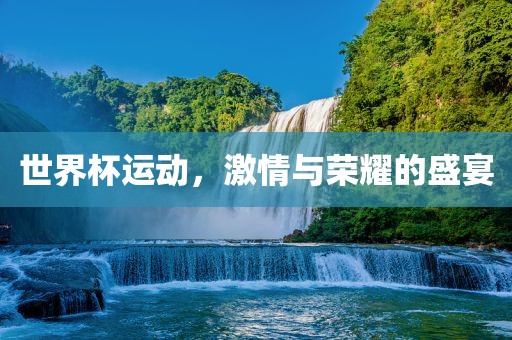 世界杯运动，激情与荣耀的盛宴眉山市正发家政服务有限公司