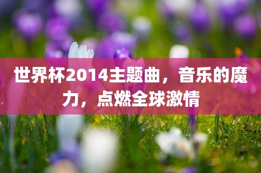 世界杯2014主题曲，音乐眉山市正发家政服务有限公司的魔力，点燃全球激情