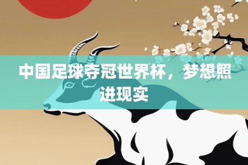 中国足球夺冠世界杯，梦想照进现实眉山市正发家政服务有限公司