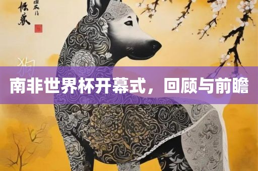 南非世界杯开幕式，回顾与前瞻