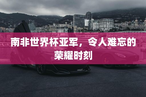 南非世界杯亚军，令人难忘的荣耀时刻眉山市正发家政服务有限公司