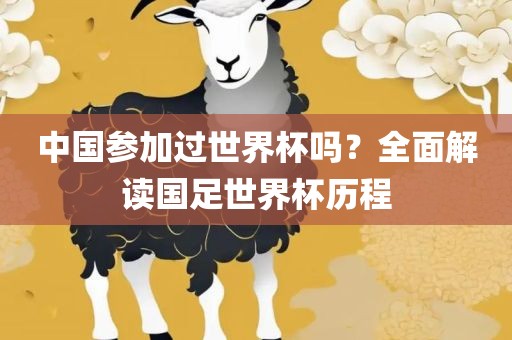中国参加过世界杯吗？全面解读国足世界杯历眉山市正发家政服务有限公司程