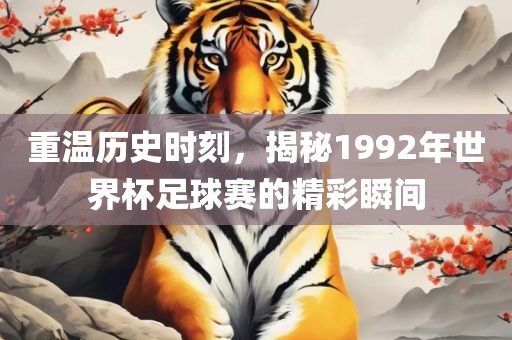 重温历史时刻，揭秘1992年世界杯足球赛的精彩瞬间眉山市正发家政服务有限公司