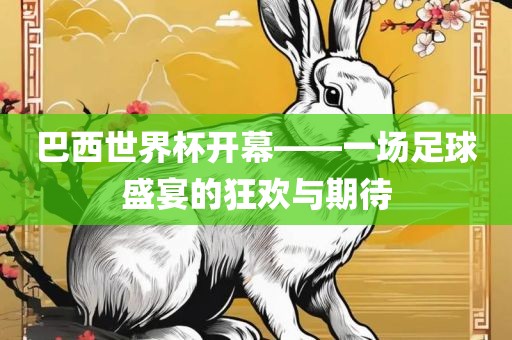 巴西世界杯开幕——一场足球盛宴的狂欢与期待眉山市正发家政服务有限公司