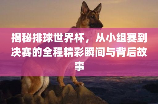 揭秘排球世界杯，从小组赛到决赛的全程精彩瞬间与背后故事