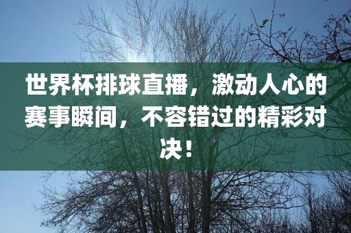 世界杯排球直播，激动人心的赛事瞬间，不容错过的精彩对决！眉山市正发家政服务有限公司