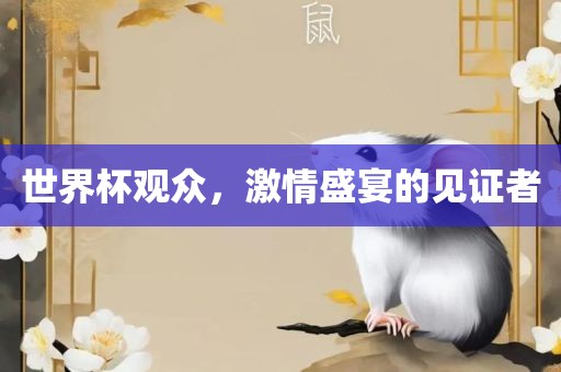 眉山市正发家政服务有限公司世界杯观众，激情盛宴的见证者