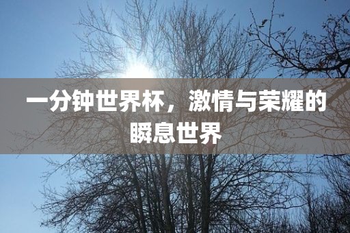 一分钟世界杯，激情与荣耀的瞬息世界眉山市正发家政服务有限公司