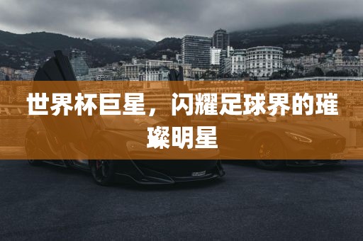 世界杯巨星，闪耀足球界的璀璨明星眉山市正发家政服务有限公司