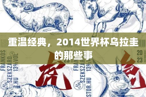 重温经典，2014世界杯乌拉圭的那些事眉山市正发家政服务有限公司