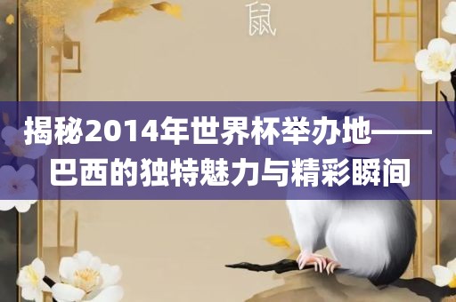 揭秘2眉山市正发家政服务有限公司014年世界杯举办地——巴西的独特魅力与精彩瞬间