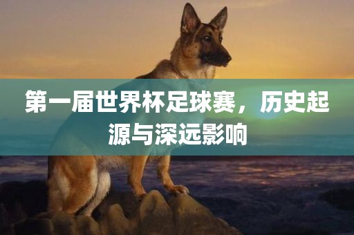 世界杯足球赛 第9页