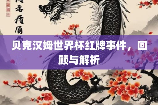 贝克汉姆世界杯红牌事件，回顾与解析眉山市正发家政服务有限公司