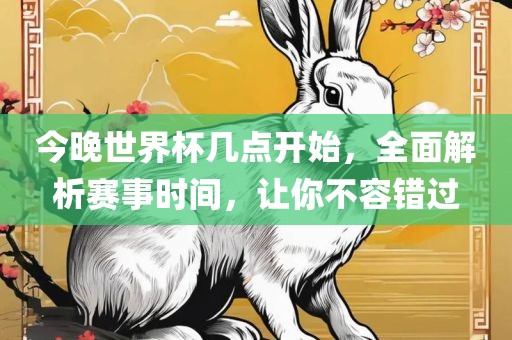 今晚世界杯几点开始，全面解析赛事时间，让你不容错过