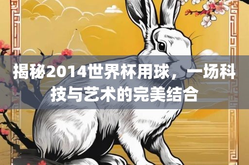 揭秘2014世界杯用球，一场科技与艺术的完美结合