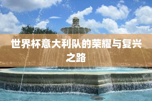 世界杯意大利队的荣耀与复兴之路眉山市正发家政服务有限公司