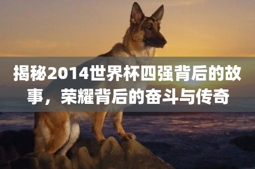 揭秘2014世界杯四强背后的故事，荣耀背后的奋斗与传奇眉山市正发家政服务有限公司