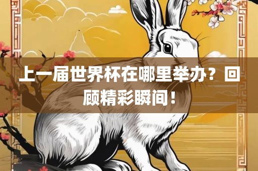 上一届世界杯在哪里举办？回顾精彩瞬间！