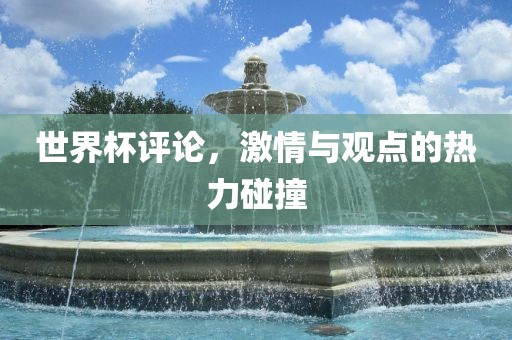 世界杯评论，激情与观点的热力碰撞眉山市正发家政服务有限公司