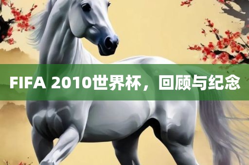 FIFA 2010世界杯，回顾与纪念眉山市正发家政服务有限公司