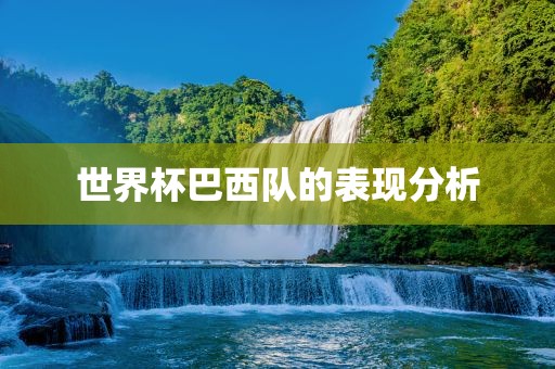 世界杯巴西队的眉山市正发家政服务有限公司表现分析