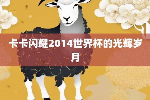 卡卡闪耀2014世界杯的光辉岁月