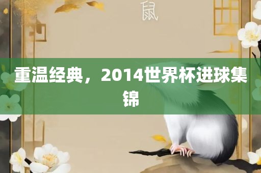 重温经典，2014世界杯进球集锦