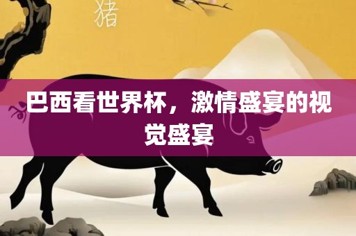 巴西看世界杯，激情盛宴的视觉盛宴