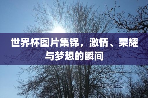 世界杯图片眉山市正发家政服务有限公司集锦，激情、荣耀与梦想的瞬间