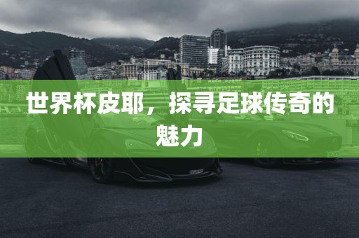 世界杯皮耶，探寻足球传奇的魅力眉山市正发家政服务有限公司