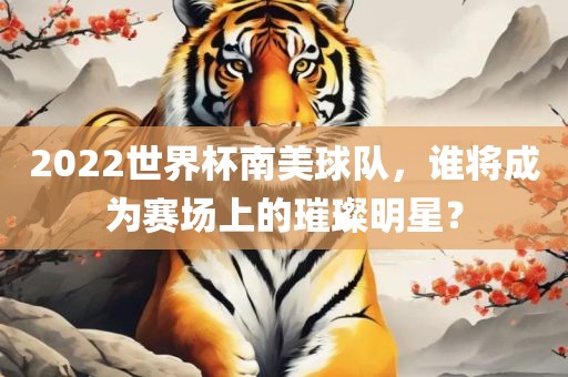 2022世界杯南美球队，谁将成为赛场上的璀璨明星？