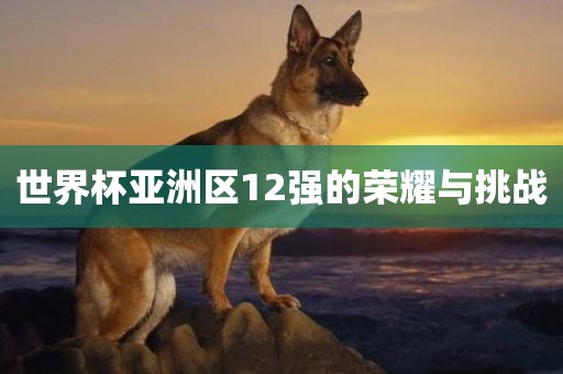 世界杯亚洲区12强的荣耀与挑战