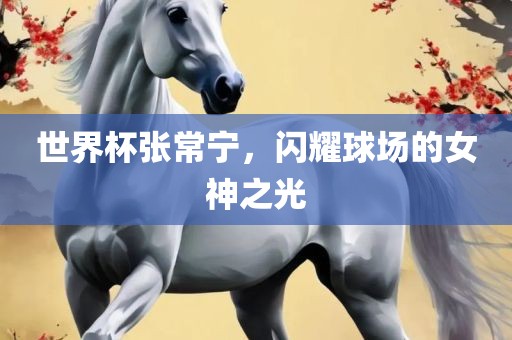 世界杯张常宁，闪耀球场的女神之光眉山市正发家政服务有限公司