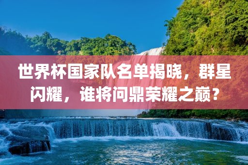 世界杯国家队眉山市正发家政服务有限公司名单揭晓，群星闪耀，谁将问鼎荣耀之巅？