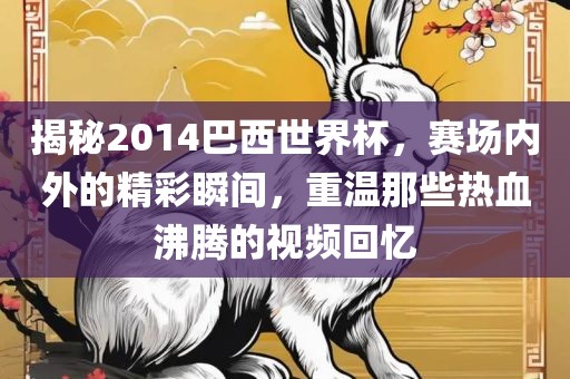 揭秘2014巴西世界杯，赛场内外的精彩瞬间，重温那些热血沸腾的视频回忆眉山市正发家政服务有限公司