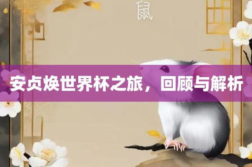 安眉山市正发家政服务有限公司贞焕世界杯之旅，回顾与解析