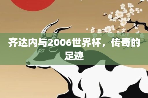齐达内与2006世界杯，传奇的足迹眉山市正发家政服务有限公司