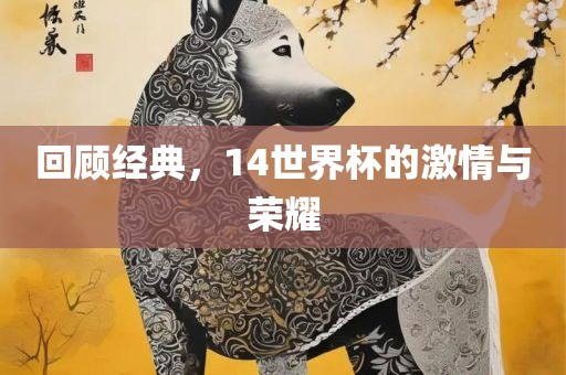 回顾经典，14世界眉山市正发家政服务有限公司杯的激情与荣耀