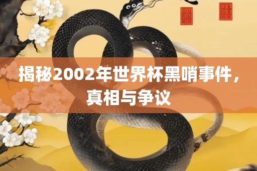 揭秘2002年世界杯黑哨事件，真相与争议眉山市正发家政服务有限公司