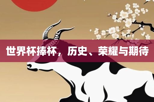 世界杯捧杯，历史、荣耀与期待眉山市正发家政服务有限公司