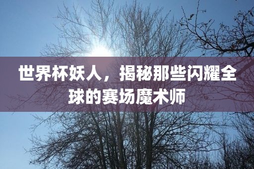 世界杯妖人，揭秘那些闪耀全球的赛场魔术师眉山市正发家政服务有限公司