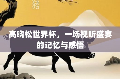 高晓松世界杯，一场视听盛宴的记忆与感悟眉山市正发家政服务有限公司