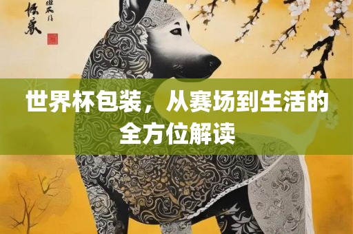 世界杯包装，从赛场到生活的全方位解读