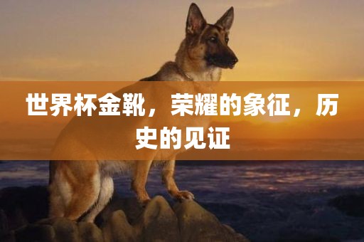 世界杯金靴，荣耀的象征，历史的见证